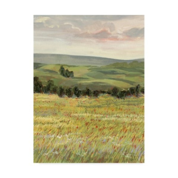 Trademark Fine Art Victoria Borges 'Morning Meadow I' Canvas Art, 35x47 WAG09545-C3547GG